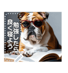 【学ぶイヌ】読書する賢明なブルドッグ犬（個別スタンプ：16）