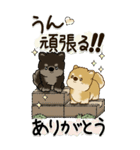 【Big】柴犬・茶色い犬 『時々気分屋さん』（個別スタンプ：30）