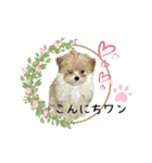 ★かわいいうちの子スタンプNo.6（個別スタンプ：3）