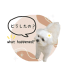 ★かわいいうちの子スタンプNo.6（個別スタンプ：14）