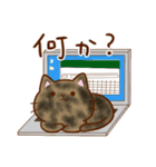 うちの子スタンプ2 サビ猫（個別スタンプ：3）