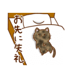 うちの子スタンプ2 サビ猫（個別スタンプ：14）