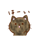 うちの子スタンプ2 サビ猫（個別スタンプ：19）