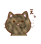 うちの子スタンプ2 サビ猫（個別スタンプ：22）