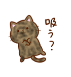 うちの子スタンプ2 サビ猫（個別スタンプ：34）