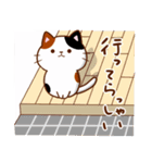 うちの子スタンプ2 三毛猫（個別スタンプ：1）