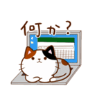 うちの子スタンプ2 三毛猫（個別スタンプ：3）