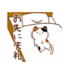 うちの子スタンプ2 三毛猫（個別スタンプ：14）