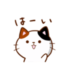 うちの子スタンプ2 三毛猫（個別スタンプ：19）