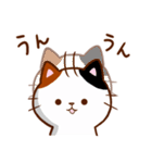 うちの子スタンプ2 三毛猫（個別スタンプ：25）