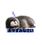 リアルペンギン（個別スタンプ：2）