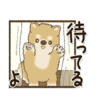 柴犬・茶色い犬【自分の状況を伝える】（個別スタンプ：4）