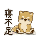 柴犬・茶色い犬【自分の状況を伝える】（個別スタンプ：33）