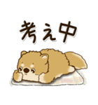 柴犬・茶色い犬【自分の状況を伝える】（個別スタンプ：39）