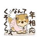 柴犬・茶色い犬【自分の状況を伝える】（個別スタンプ：40）