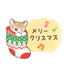 イベント☆猫たちのスタンプ（個別スタンプ：6）