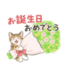 イベント☆猫たちのスタンプ（個別スタンプ：31）