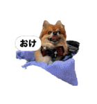 おむすびとして（個別スタンプ：1）