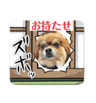 おむすびとして（個別スタンプ：4）