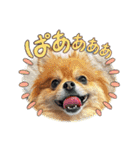 おむすびとして（個別スタンプ：9）