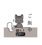 冷麺ねこver.2（個別スタンプ：5）