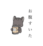冷麺ねこver.2（個別スタンプ：14）