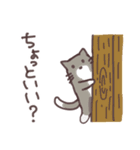 シンプルねこ達の日常（個別スタンプ：19）