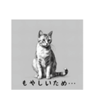 AI猫のご飯リクエスト（個別スタンプ：11）