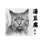 AI猫のご飯リクエスト（個別スタンプ：19）