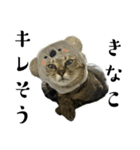 あずきときなこ②（個別スタンプ：5）