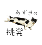 あずきときなこ②（個別スタンプ：8）