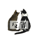 あずきときなこ②（個別スタンプ：18）