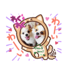 yamamiオリジナルスタンプ！チワワちゃん（個別スタンプ：7）