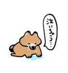 ポメラニアンRISHUくん イラストver（個別スタンプ：4）