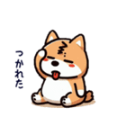 柴犬スタンプ(第1弾)（個別スタンプ：7）