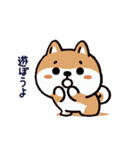 柴犬スタンプ(第1弾)（個別スタンプ：12）