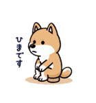 柴犬スタンプ(第1弾)（個別スタンプ：15）