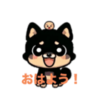 黒色の柴犬ちゃん（個別スタンプ：1）