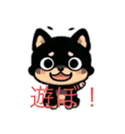 黒色の柴犬ちゃん（個別スタンプ：3）