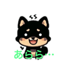 黒色の柴犬ちゃん（個別スタンプ：4）