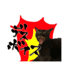 お酒とネコ好きな日常会話 15バカタレver.2（個別スタンプ：1）