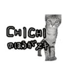 お酒とネコ好きな日常会話 15バカタレver.2（個別スタンプ：39）
