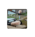 動物園＆水族館＆鳥（個別スタンプ：9）