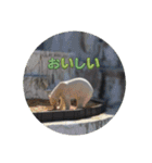動物園＆水族館＆鳥（個別スタンプ：11）