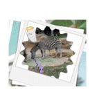 動物園＆水族館＆鳥（個別スタンプ：12）