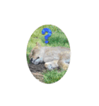 動物園＆水族館＆鳥（個別スタンプ：14）