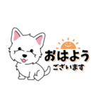 背景動く‼犬スタンプ＃4『ウエスティー』（個別スタンプ：6）