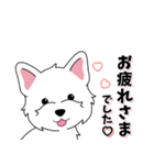 背景動く‼犬スタンプ＃4『ウエスティー』（個別スタンプ：10）