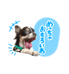 こてつ 関西version（個別スタンプ：2）