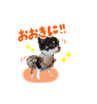 こてつ 関西version（個別スタンプ：3）